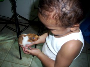 guilloPACO Mi Mascota