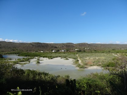 Guanica PiccoloMondoPR