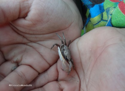 Guanica PiccoloMondoPR