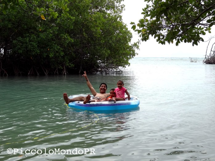Manglillo Guanica PiccoloMondoPR