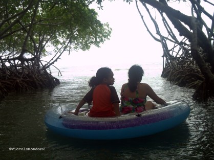 Manglillo Guanica PiccoloMondoPR
