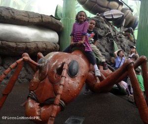 Disney Hollywood Studios Piccolo En Disney