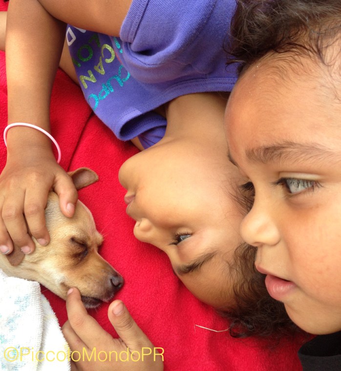 Chispa y los chiquillos 