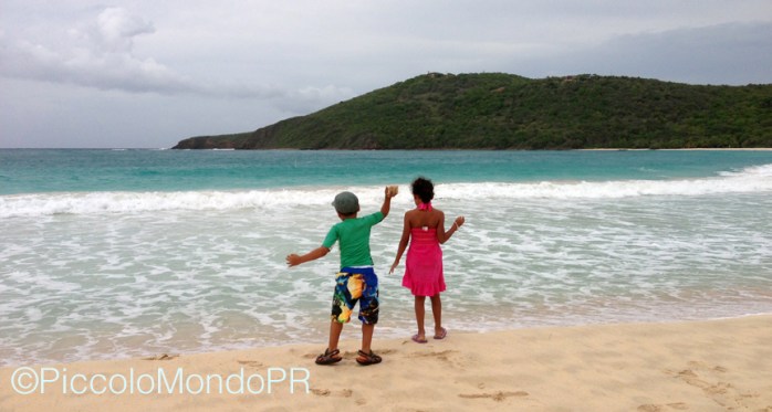 Culebra PiccoloMondoPR