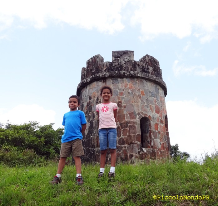 Torre de Observacion Toro Negro