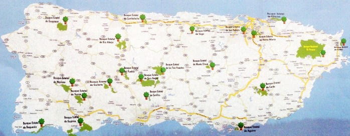 MAPA DE BOSQUE PR