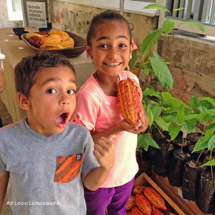 Hacienda Buena Vista PONCE