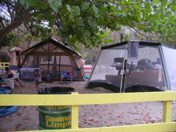 1929859_16106446993_8756_n