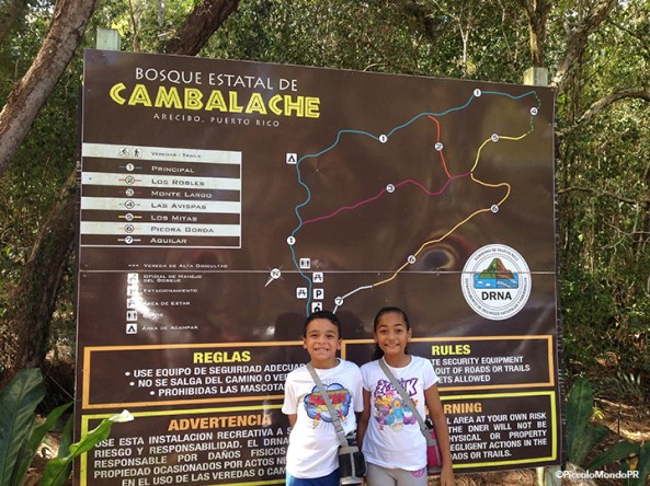 Bosque Cambalache 1