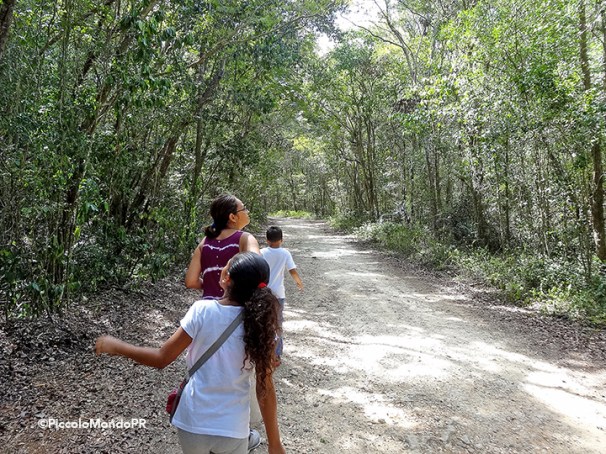 Bosque Cambalache 10