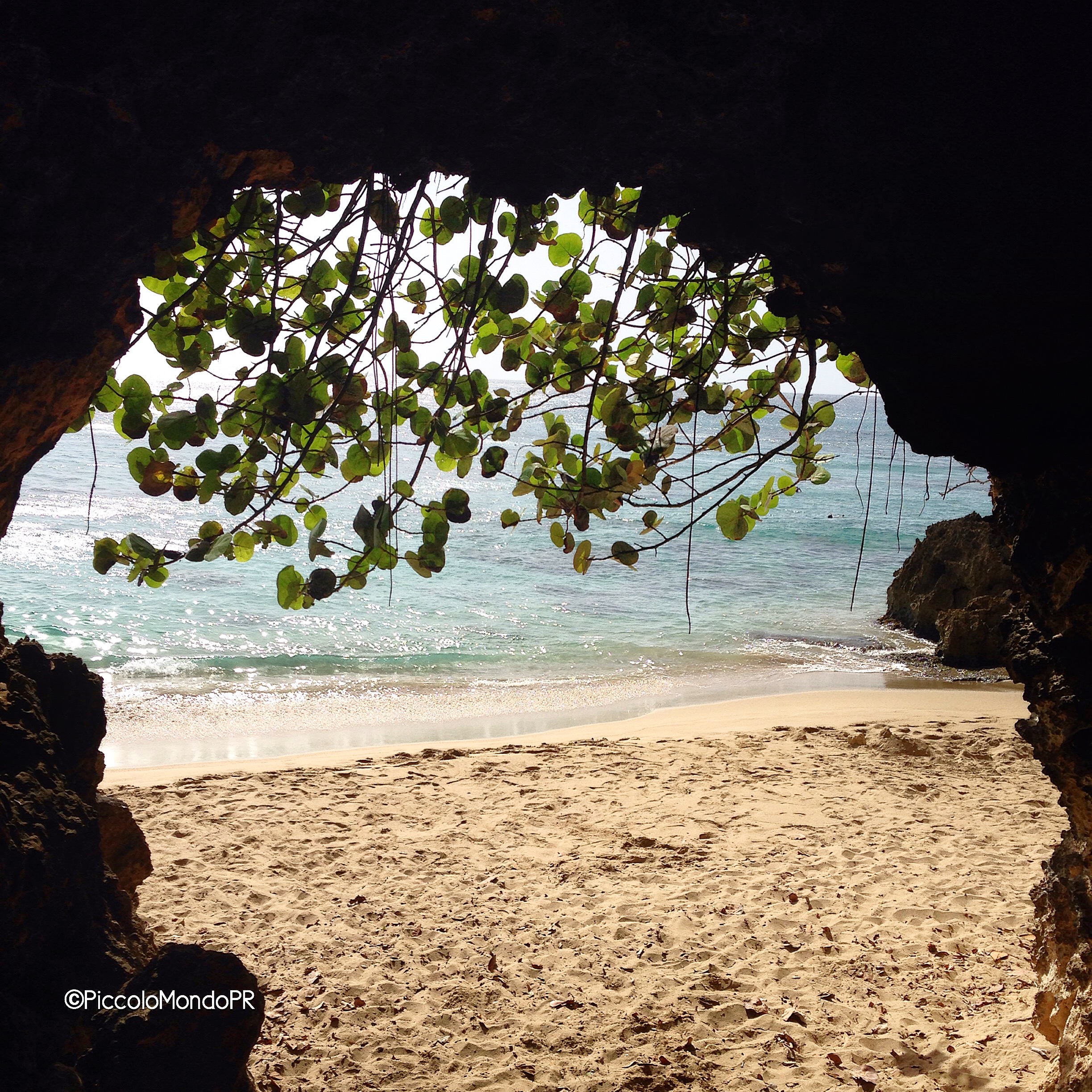 Photo Jul 18, 7 39 34 AM