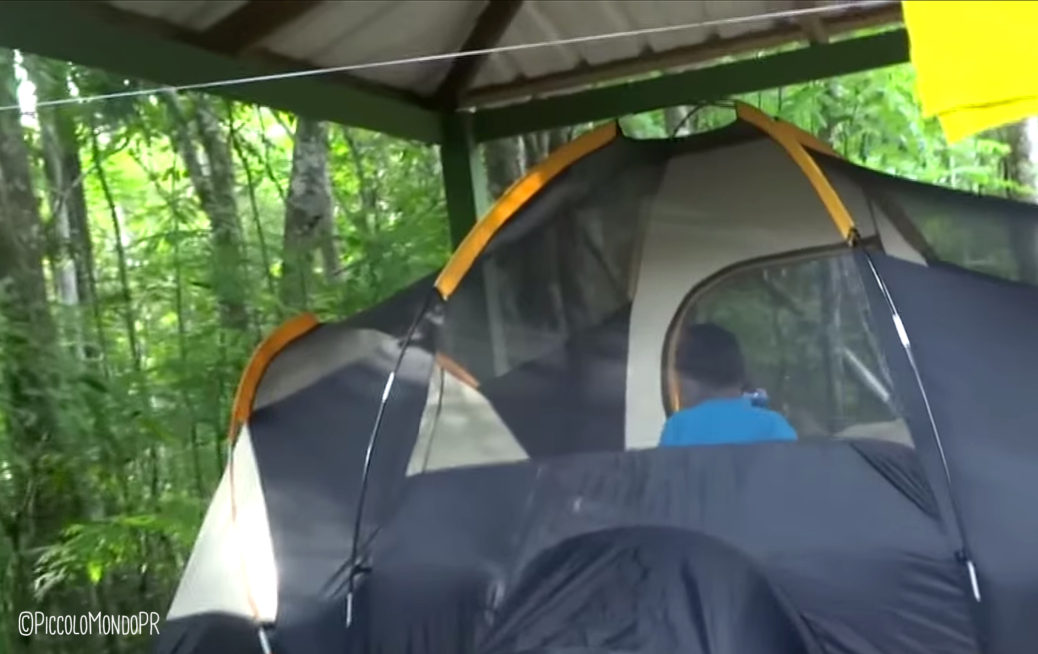 bosque-guajataca-camping