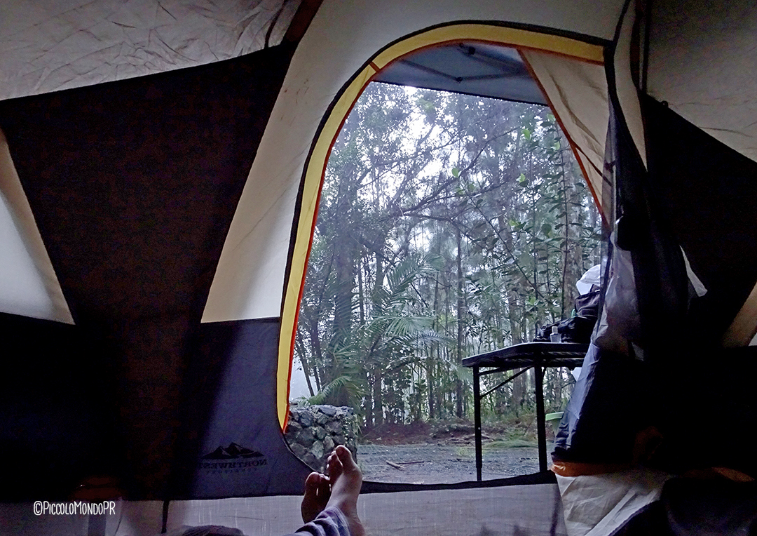 monte-del-estado-maricao-4