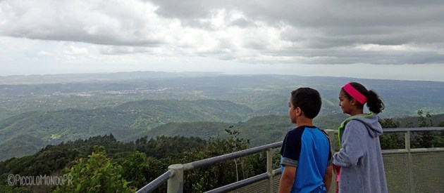 monte-del-estado-maricao2