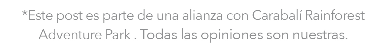 disclaimer-carbalipost