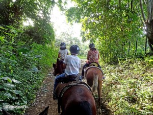 hacienda-carabali-17