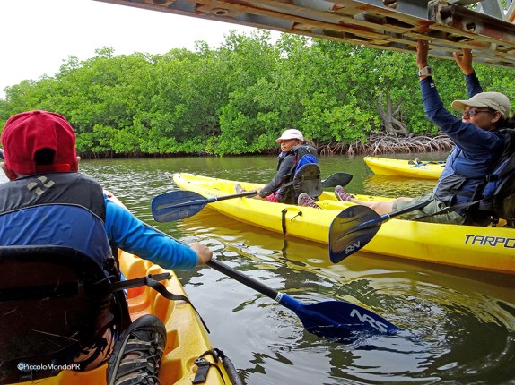 Medio Mundo Daguao Ceiba2