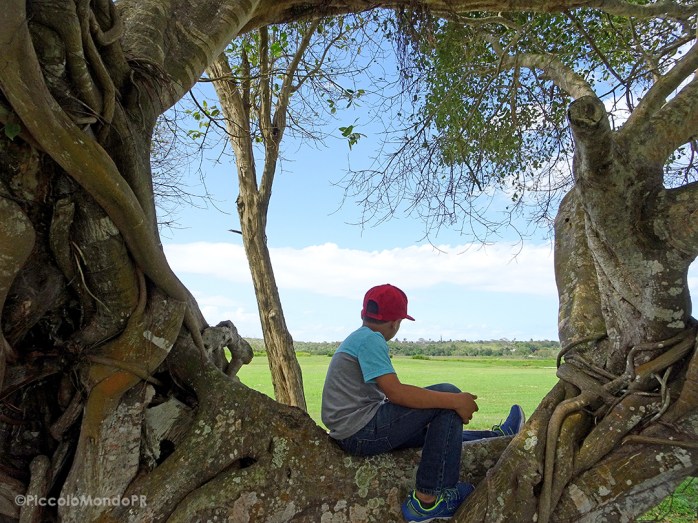 Hacienda La Esperanza 3