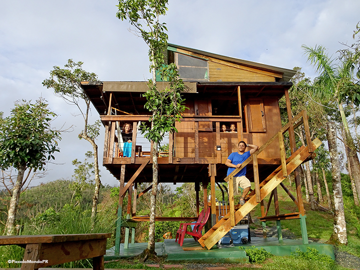 Lake carite Treehouse Piccolo15