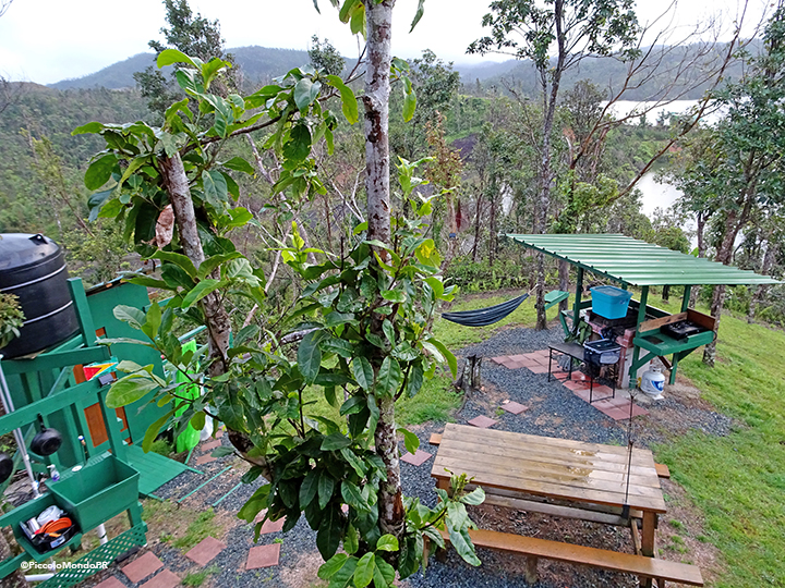 Lake carite Treehouse Piccolo19
