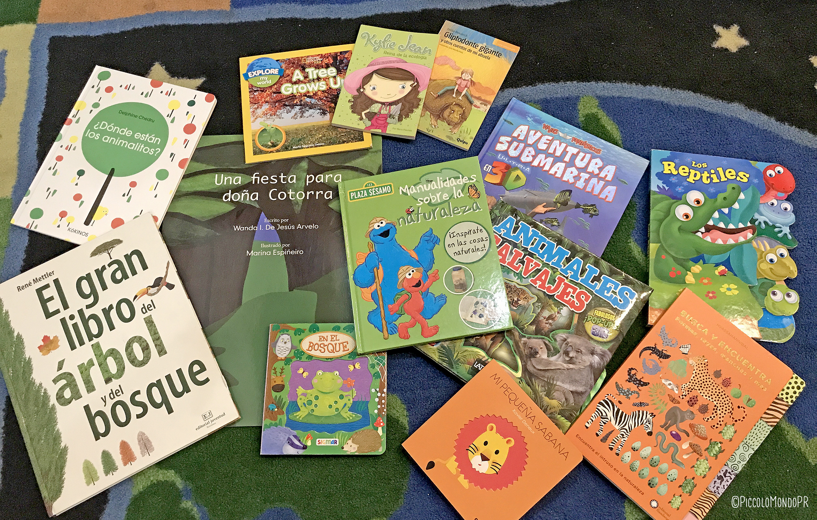 Libreria Aparicio PiccoloMondo1