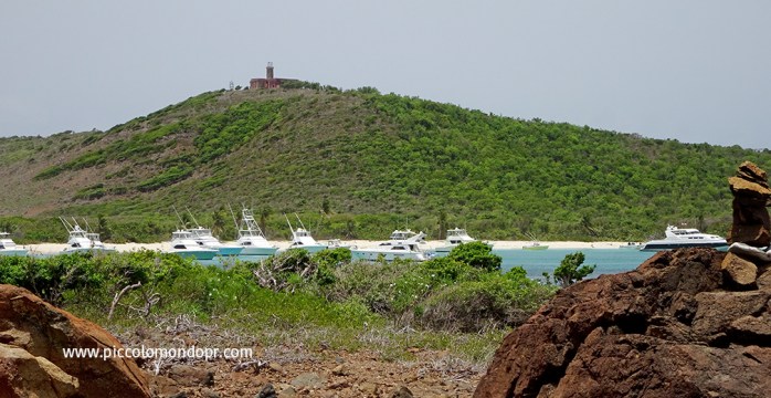 isla culebrita 4 PMPR