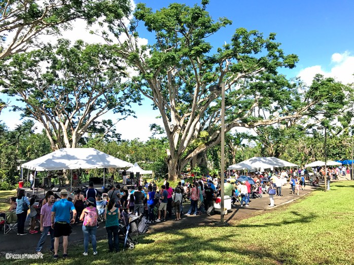 sanse jardin botanico pmpr4