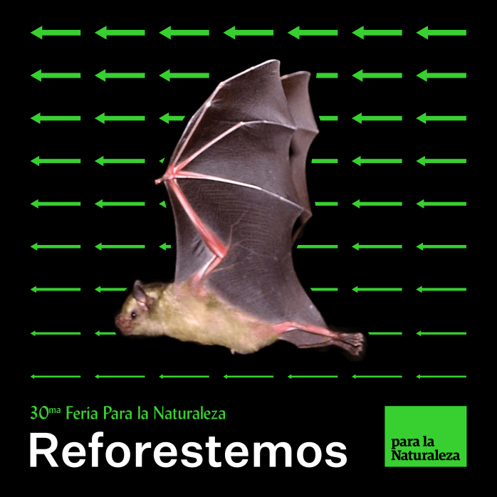 pln_facebook-post_1080x1080_-08