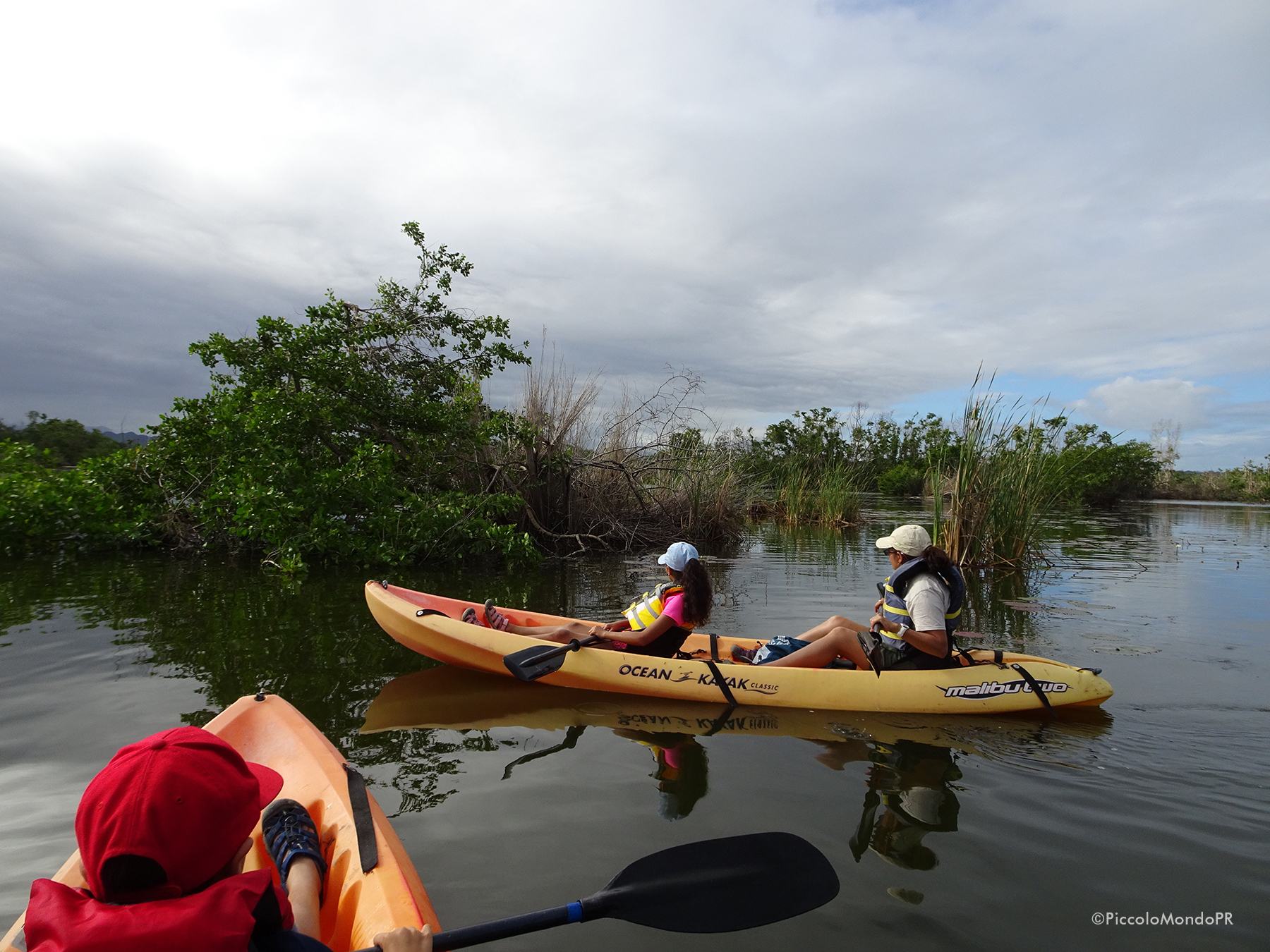 caño tiburones Arecibo Kayak PMPR