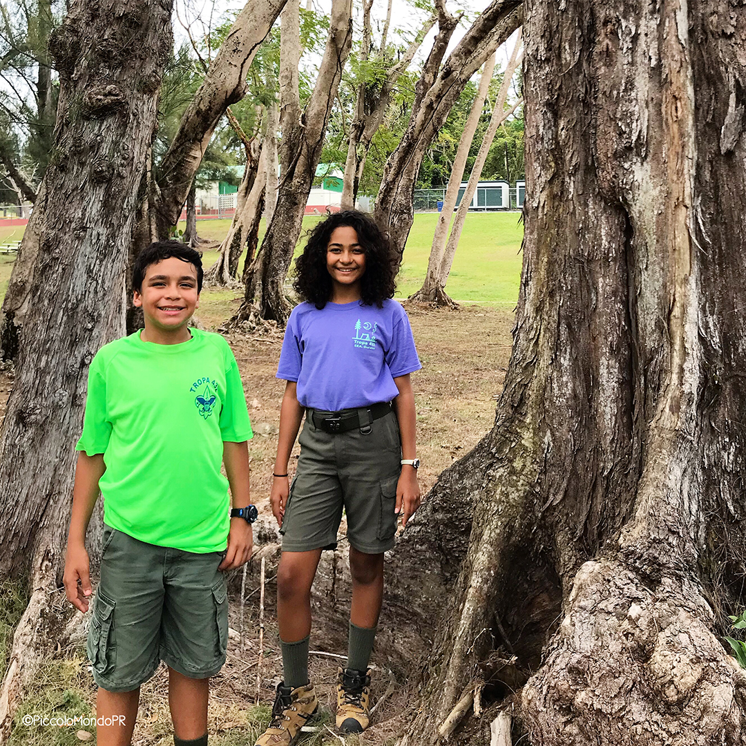 BSA Girls Scouts PMPR4