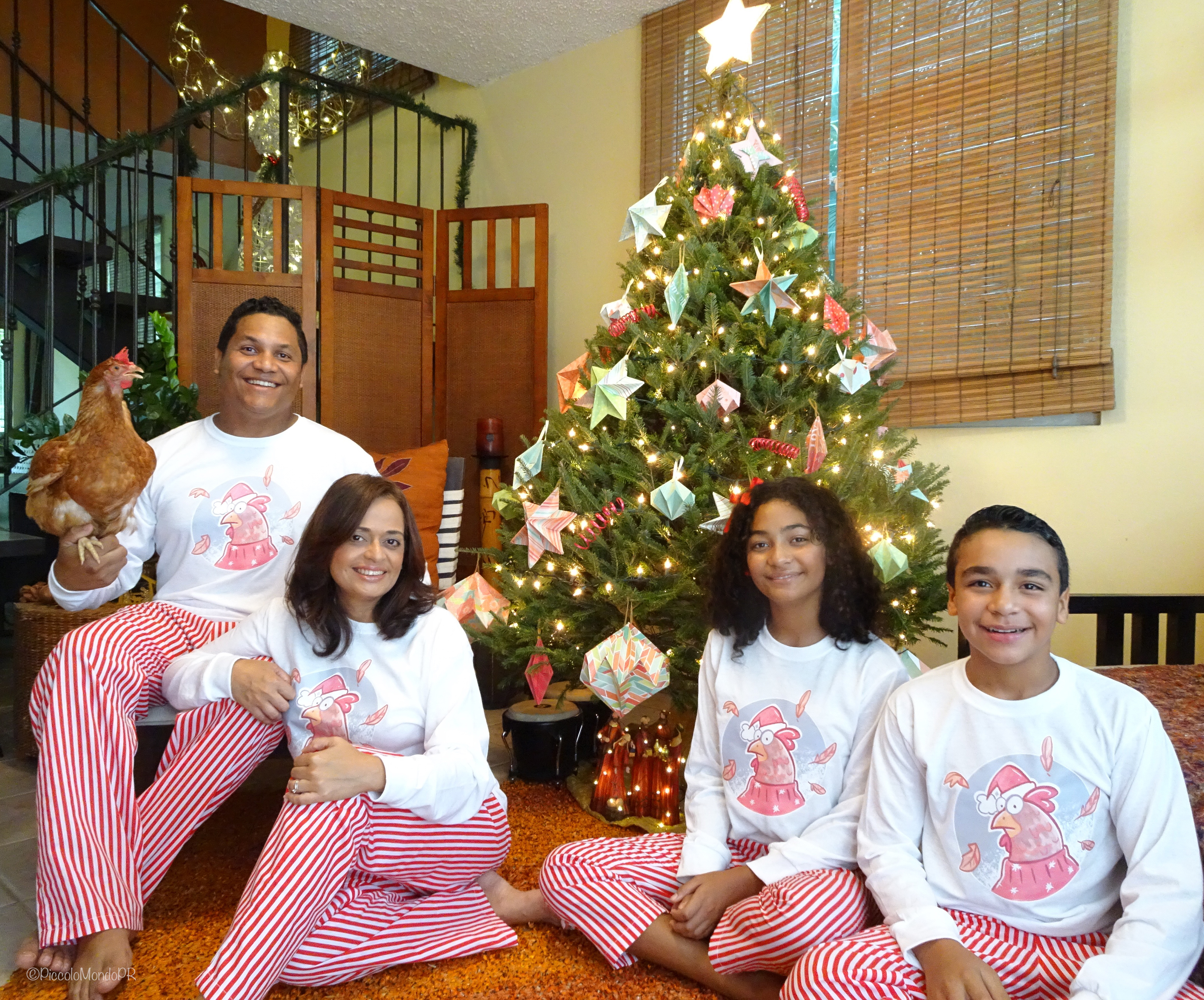 Navida Piccolo 2019 FAM