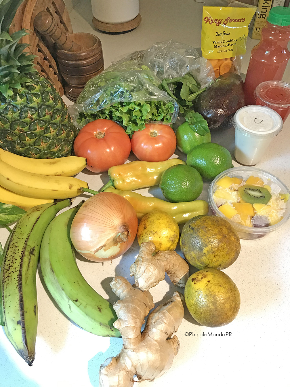 Casa Tropiko mercado1 PMPR