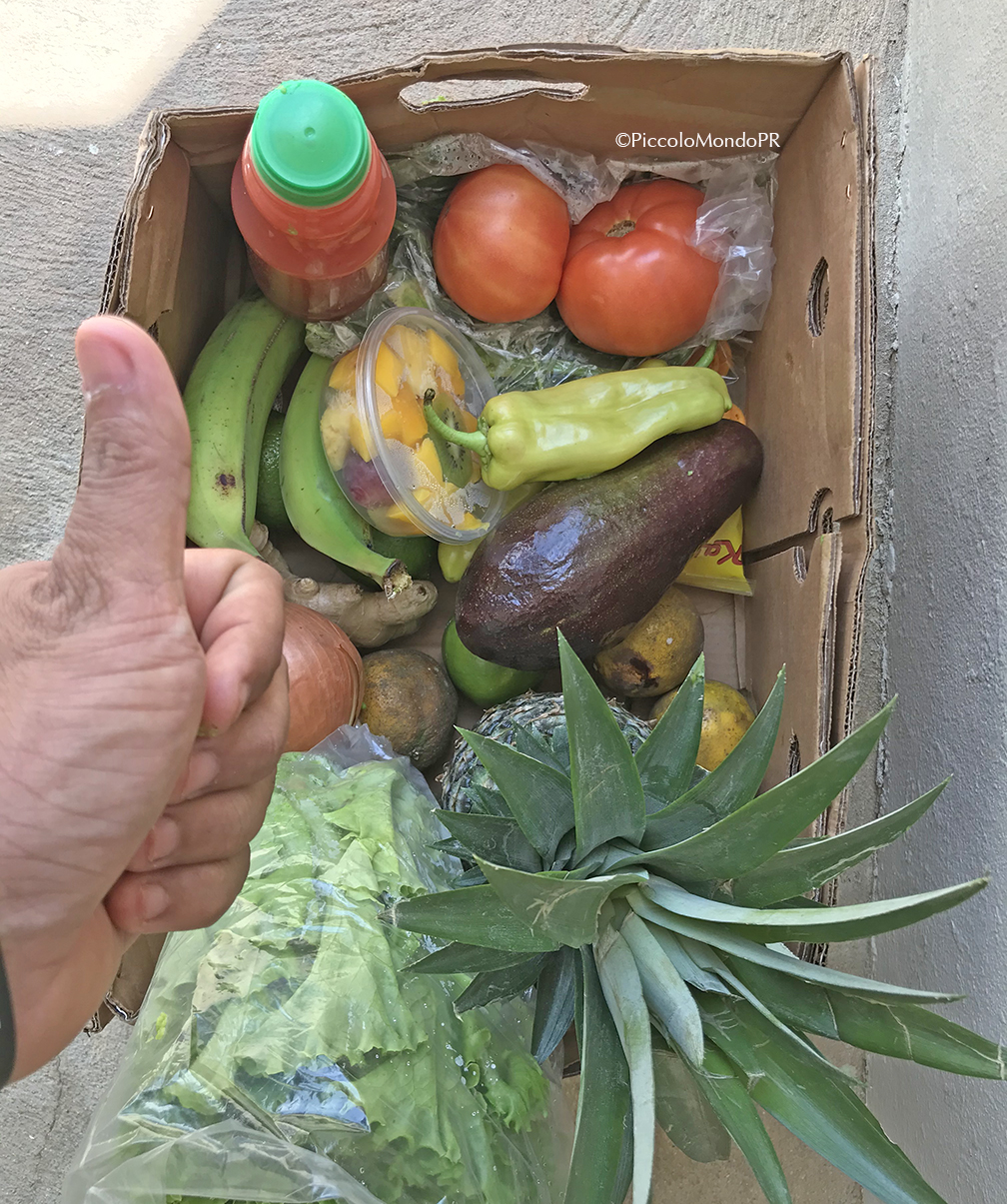 Casa Tropiko mercado2 PMPR