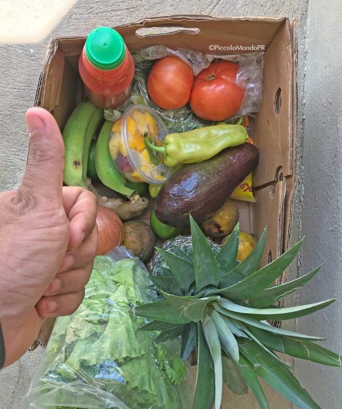 Casa Tropiko mercado2 PMPR