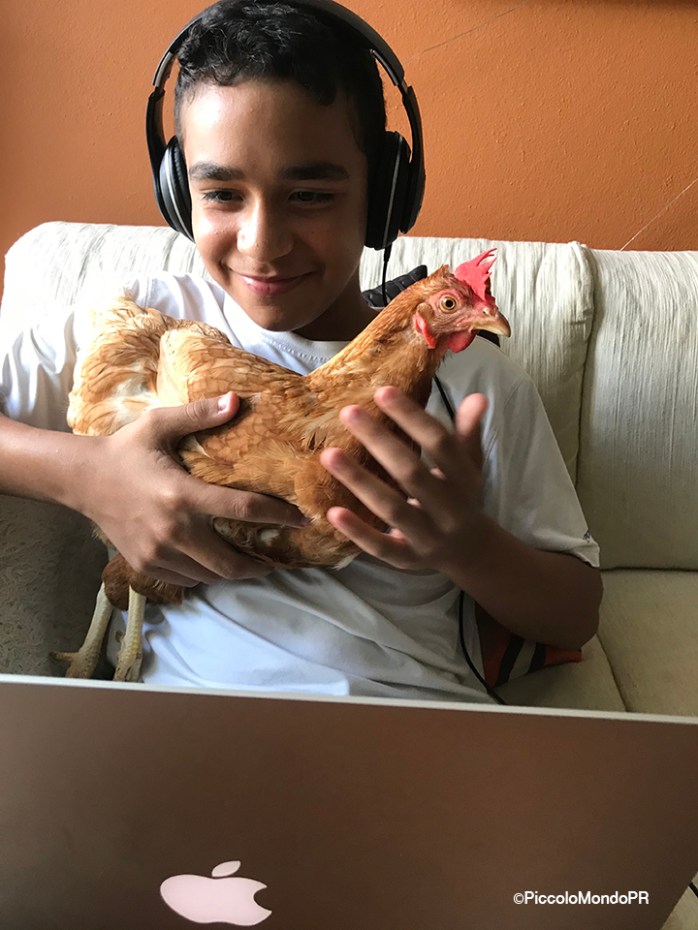 Escuela a Distancia PMPR6