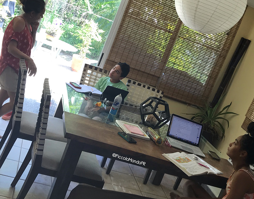 Escuela a Distancia PMPR7