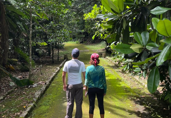 Bosque Guilarte con jovenes